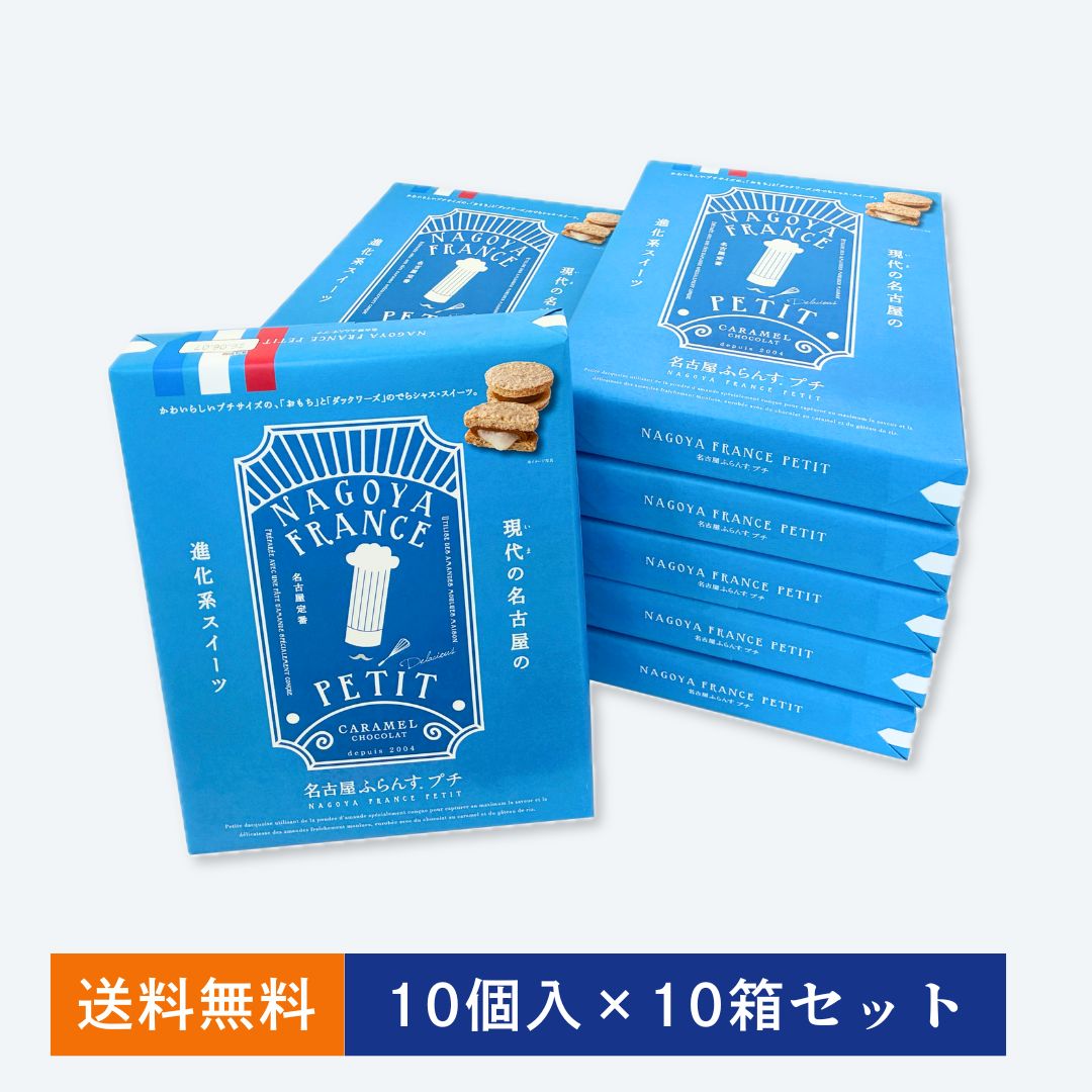 【1箱無料】名古屋ふらんすプチ10個入×10箱